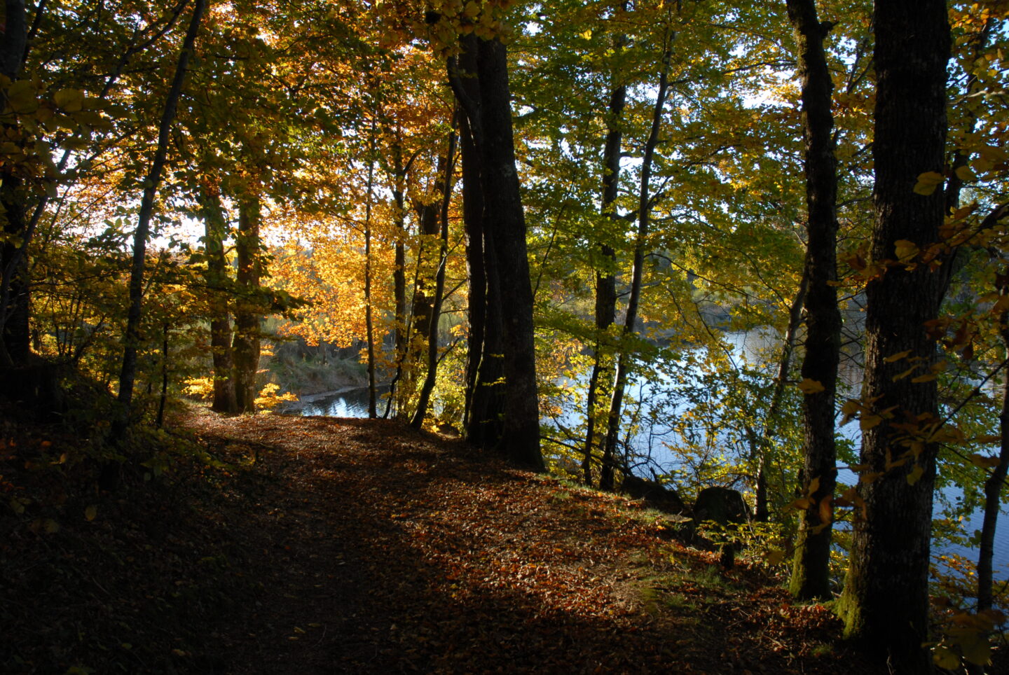 Par les puys Rosiers-d'Égletons Nouvelle-Aquitaine