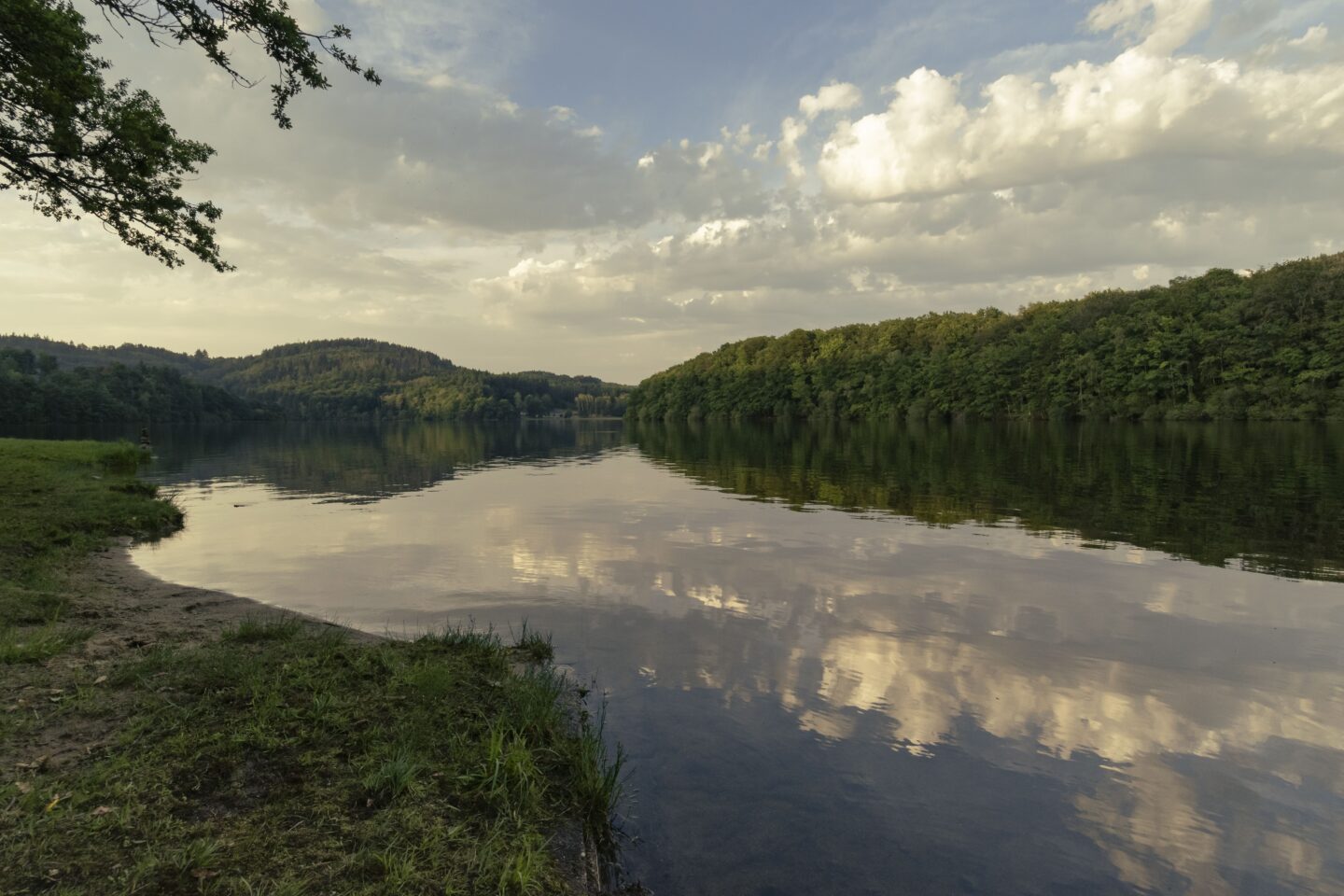 Géant Vert Treignac Nouvelle-Aquitaine
