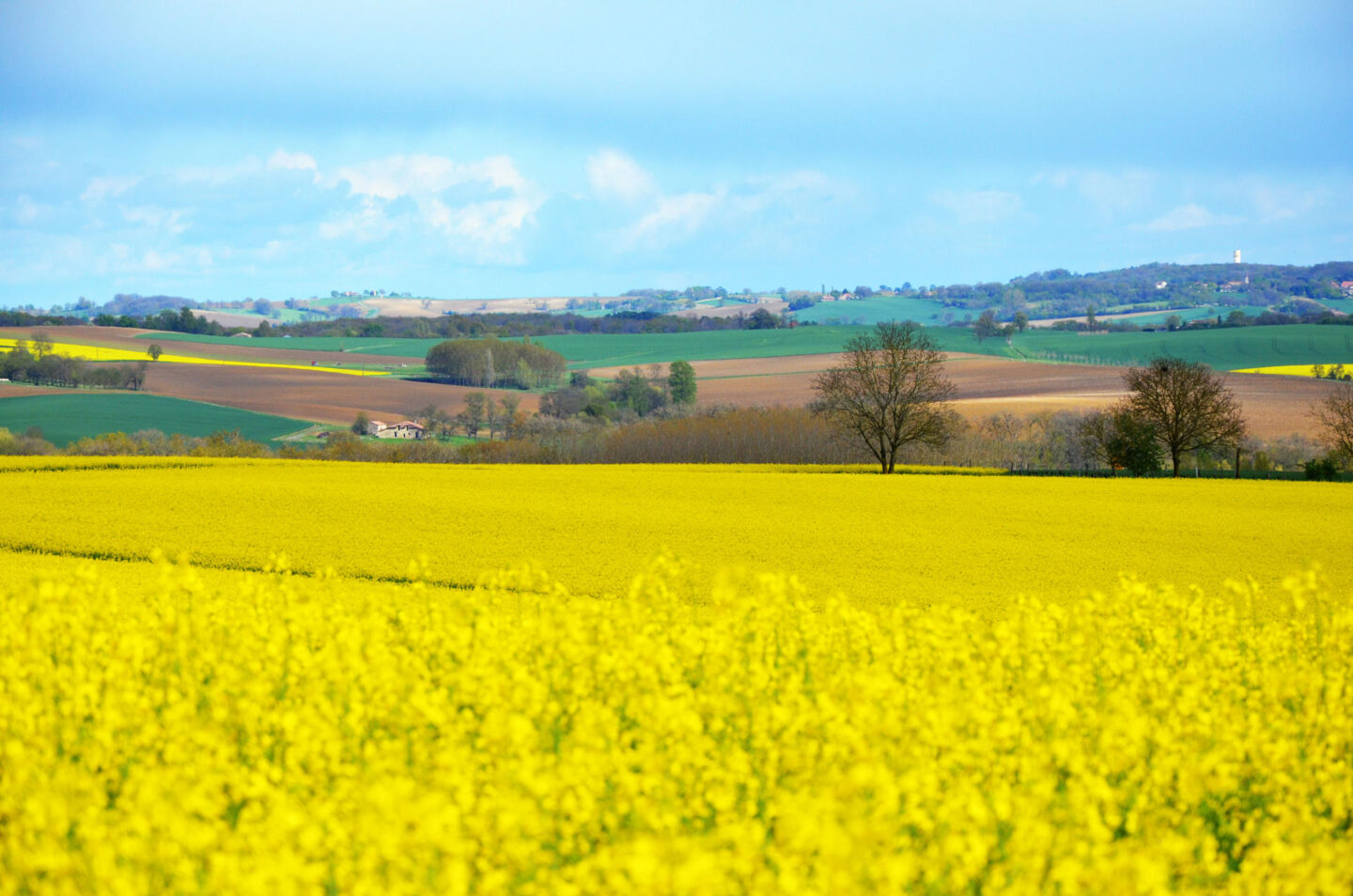 La Scandibérique en Nouvelle-Aquitaine Port-de-Piles Nouvelle-Aquitaine