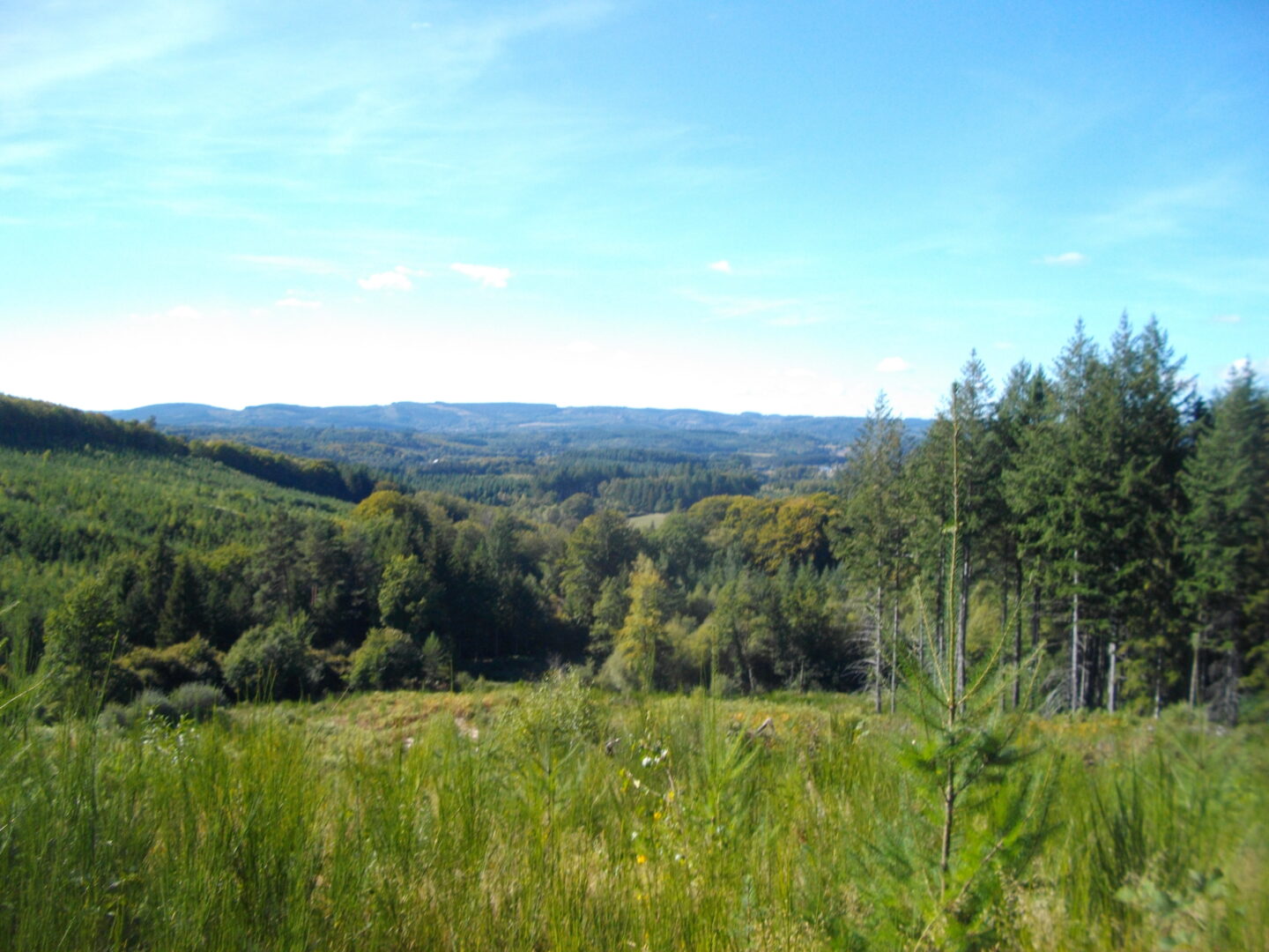 VTT Gravel Les Abbesses 16 km circuit 16 Combressol Nouvelle-Aquitaine