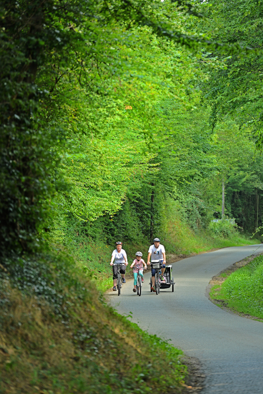 Sous le regard de Cerise n°14 Luigny Centre-Val de Loire