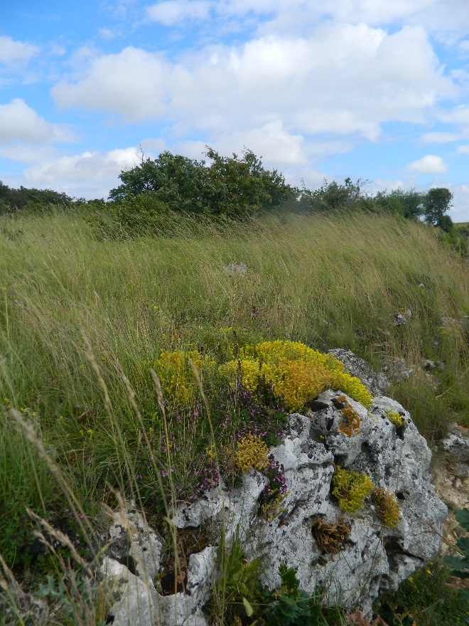 Circuit de la Réserve naturelle nationale des vallées de la Grand-Pierre et de Vitain Marolles Centre-Val de Loire