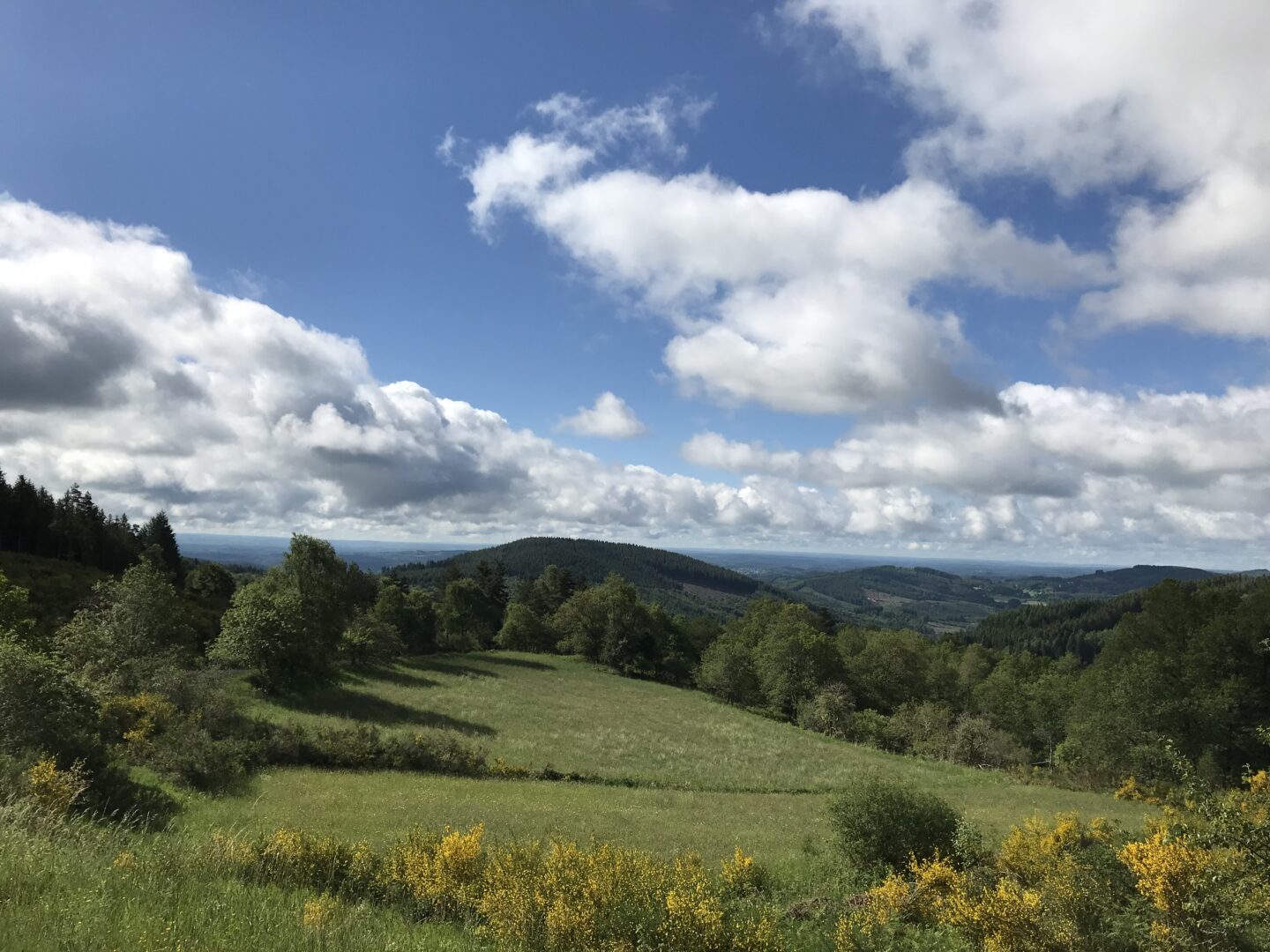 Entre Vedrenne et la Brette Péret-Bel-Air Nouvelle-Aquitaine