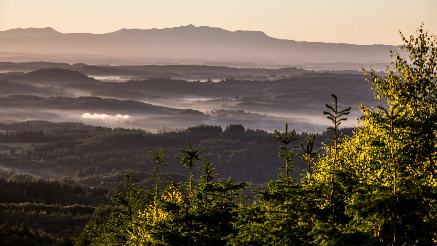 Les Hêtraies de Péret-Bel-Air Péret-Bel-Air Nouvelle-Aquitaine