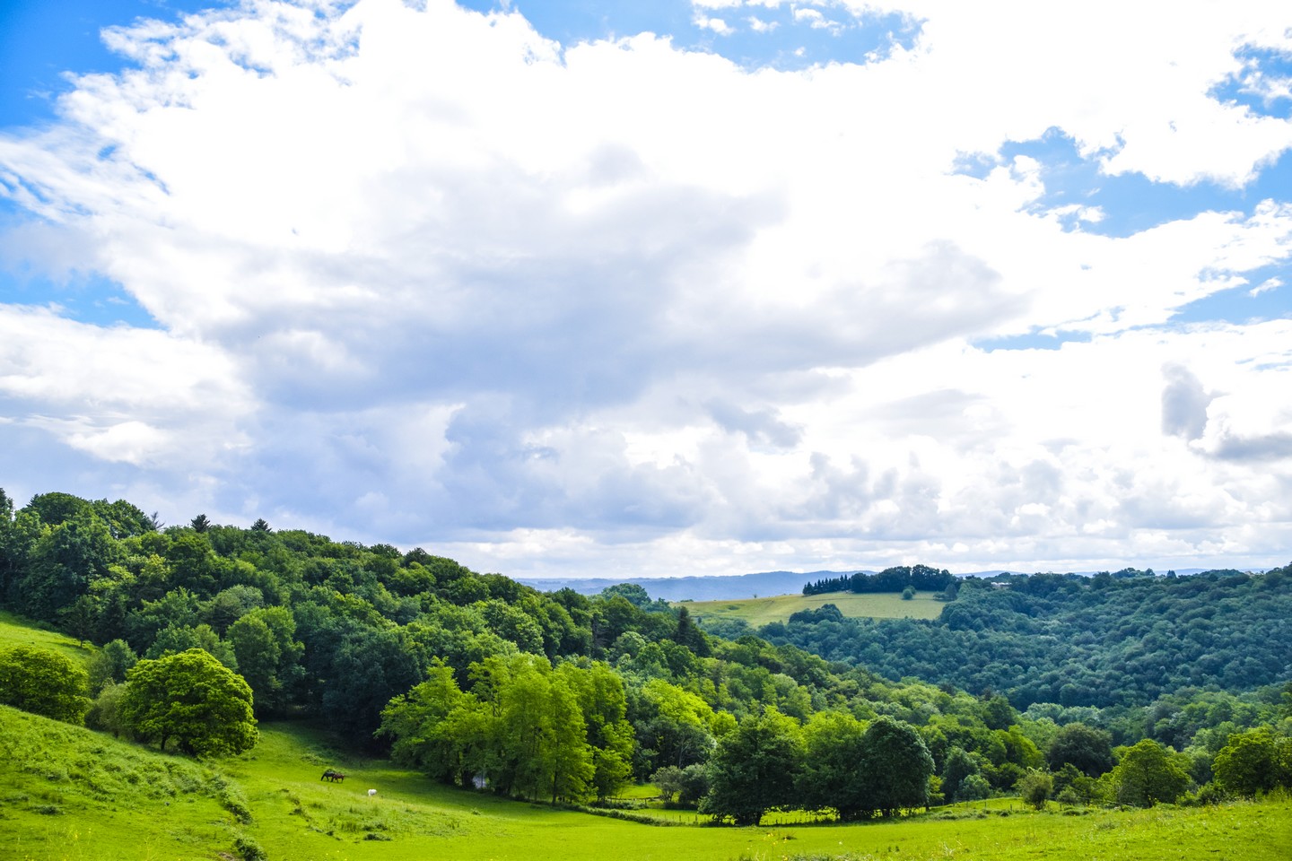 Rontignon Sentier des Crêtes Rontignon Nouvelle-Aquitaine