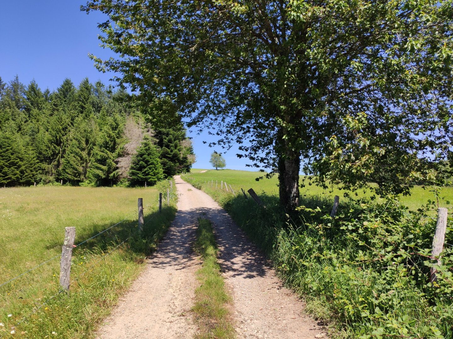 Boucle du Mont Larron Saint-Julien-le-Petit Nouvelle-Aquitaine