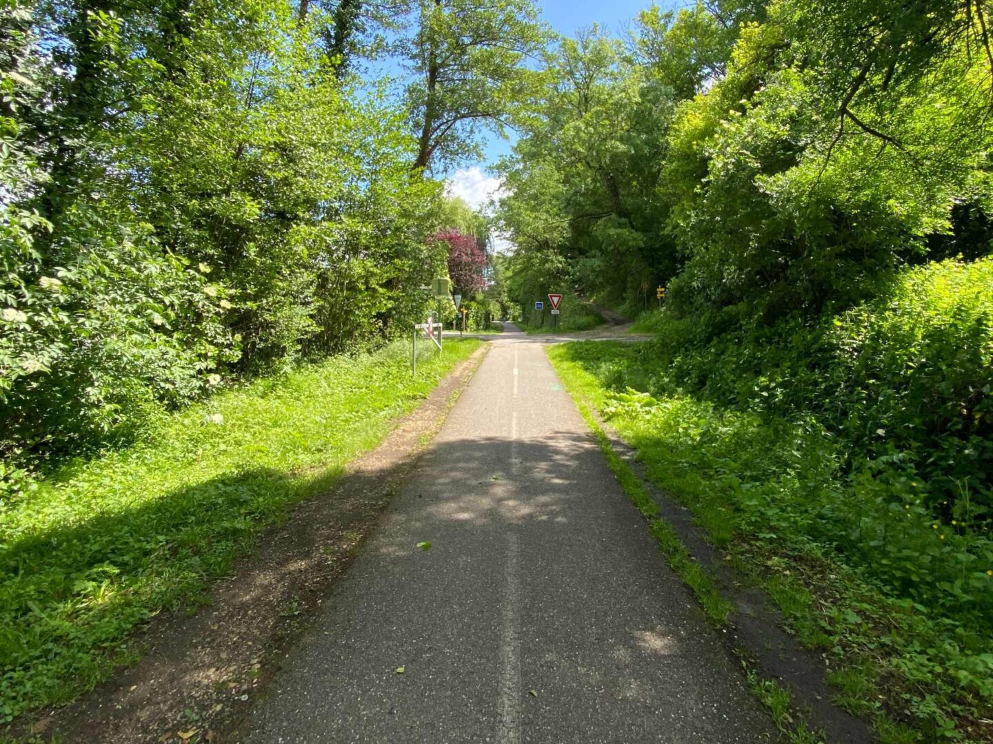 Piste cyclable Roger Lapébie Sauveterre-de-Guyenne Nouvelle-Aquitaine