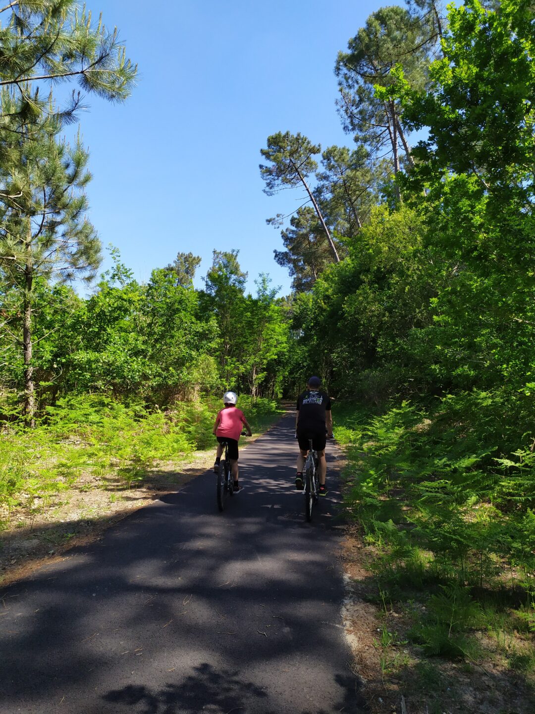 Piste Cyclable bourg de Vielle / bourg de St Girons Vielle-Saint-Girons Nouvelle-Aquitaine