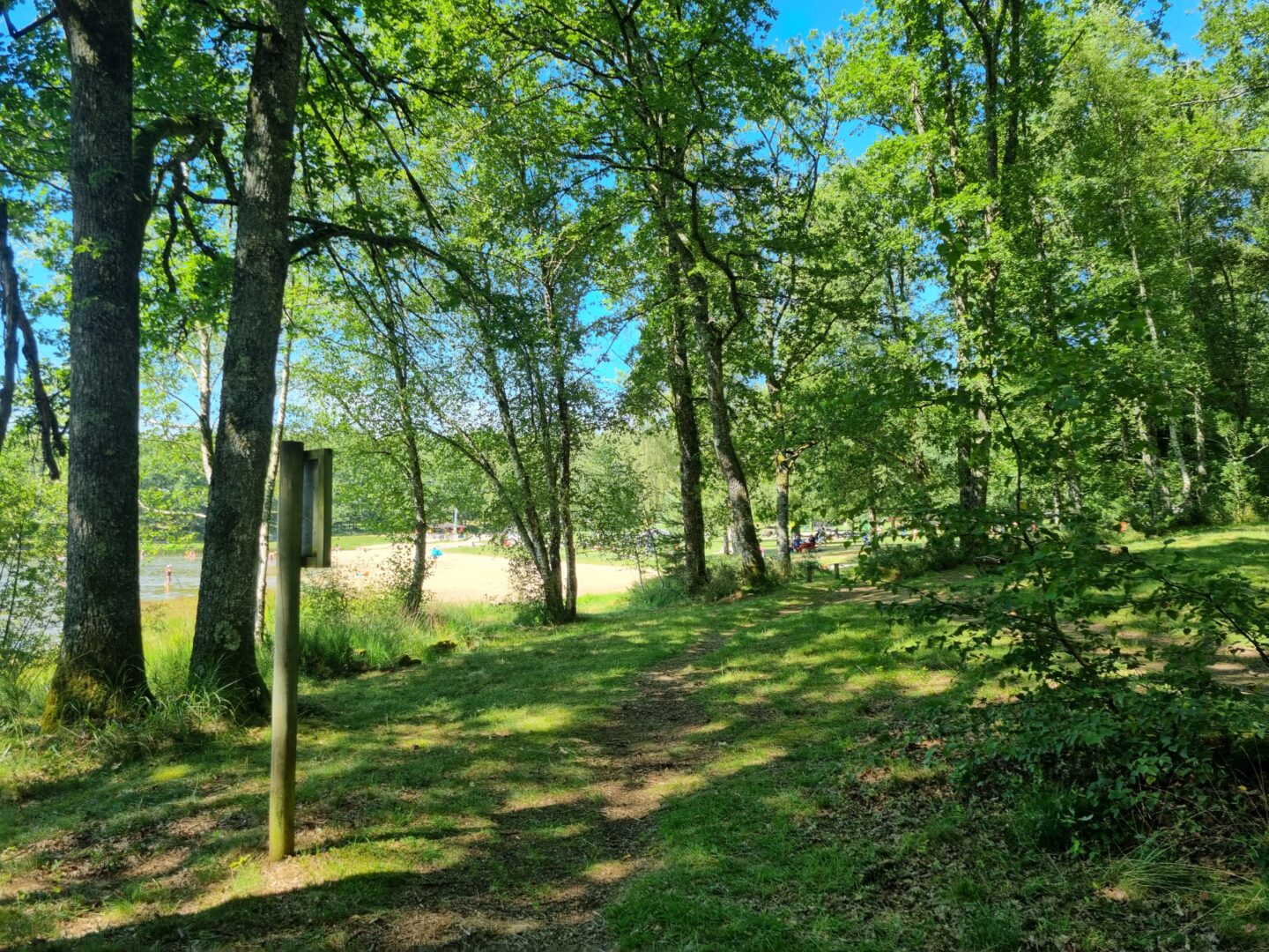 Parcours PAPSE Masseret-Lamongerie Lamongerie Nouvelle-Aquitaine Parcours PAPSE Masseret-Lamongerie Lamongerie Nouvelle-Aquitaine