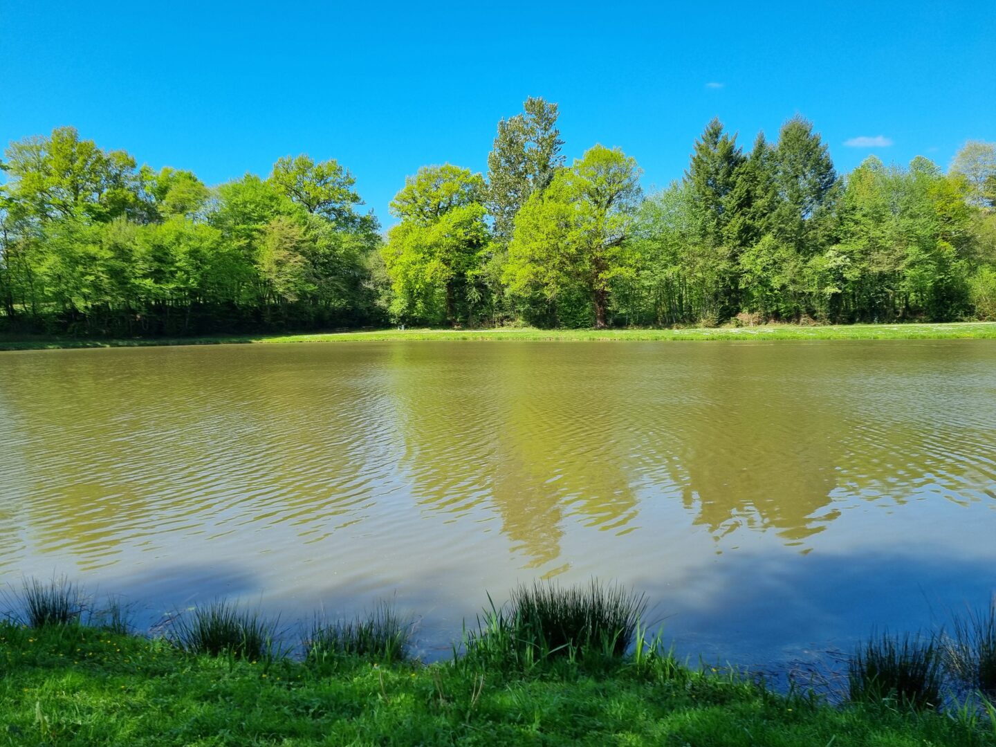 Parcours PAPSE Saint-Pardoux-Corbier Saint-Ybard Nouvelle-Aquitaine