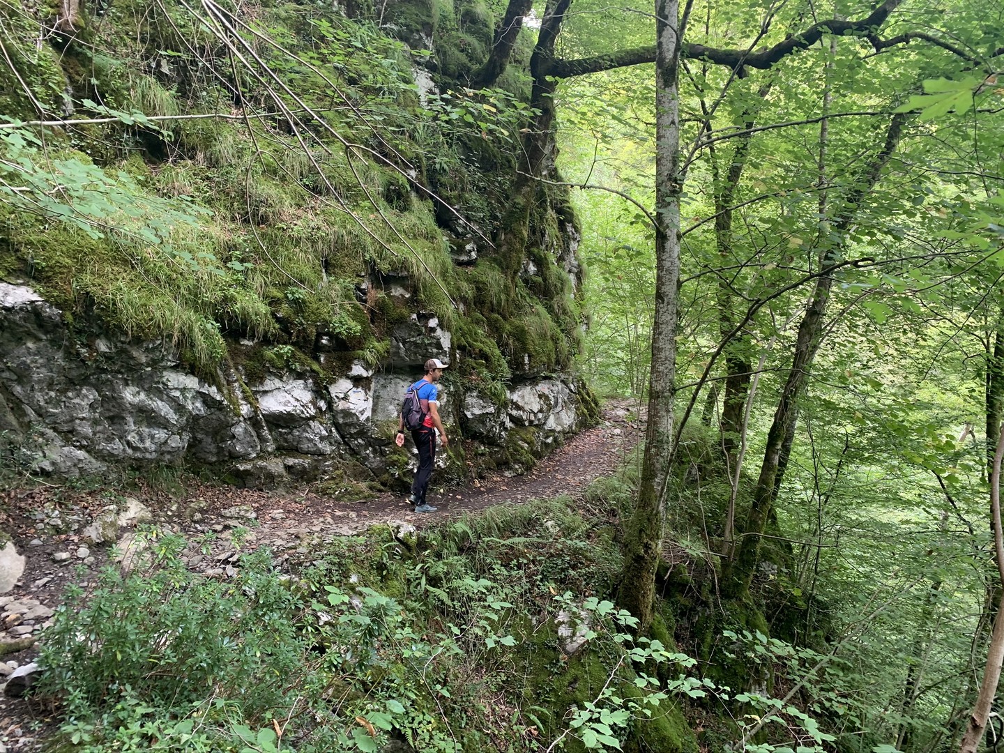 Source de la Bidouze Uhauko ur sorgia Saint-Just-Ibarre Nouvelle-Aquitaine