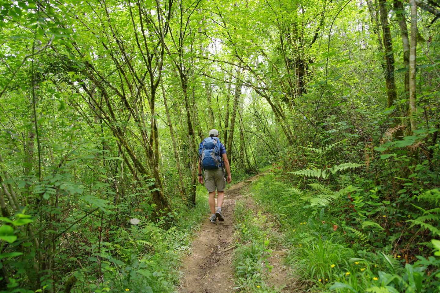 Arraia Halsou Nouvelle-Aquitaine