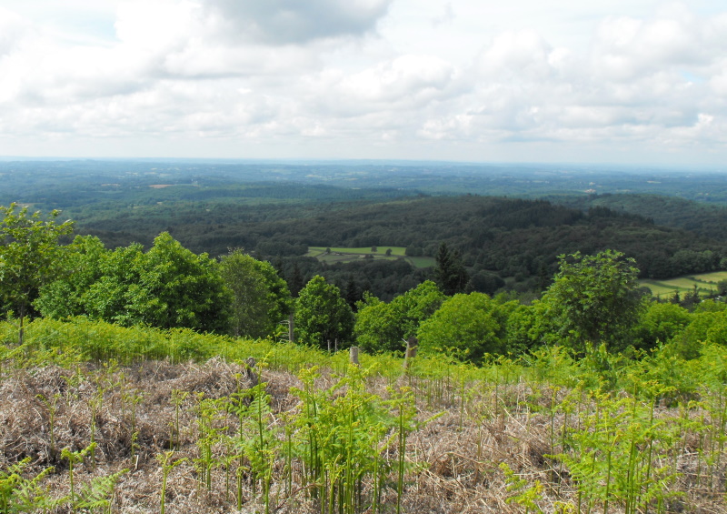 Base VTT FFC des Monts du Limousin Circuit 14 Pierres sèches Jabreilles-les-Bordes Nouvelle-Aquitaine