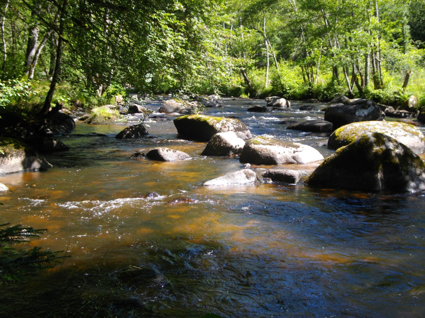 VTT Gravel Le Rocher du Diable 9 km circuit 3 Ussel Nouvelle-Aquitaine