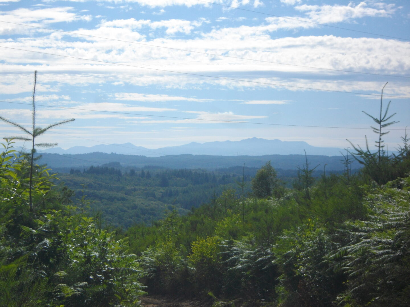 VTT Gravel La cime des bois 50 km circuit 7 Ussel Nouvelle-Aquitaine