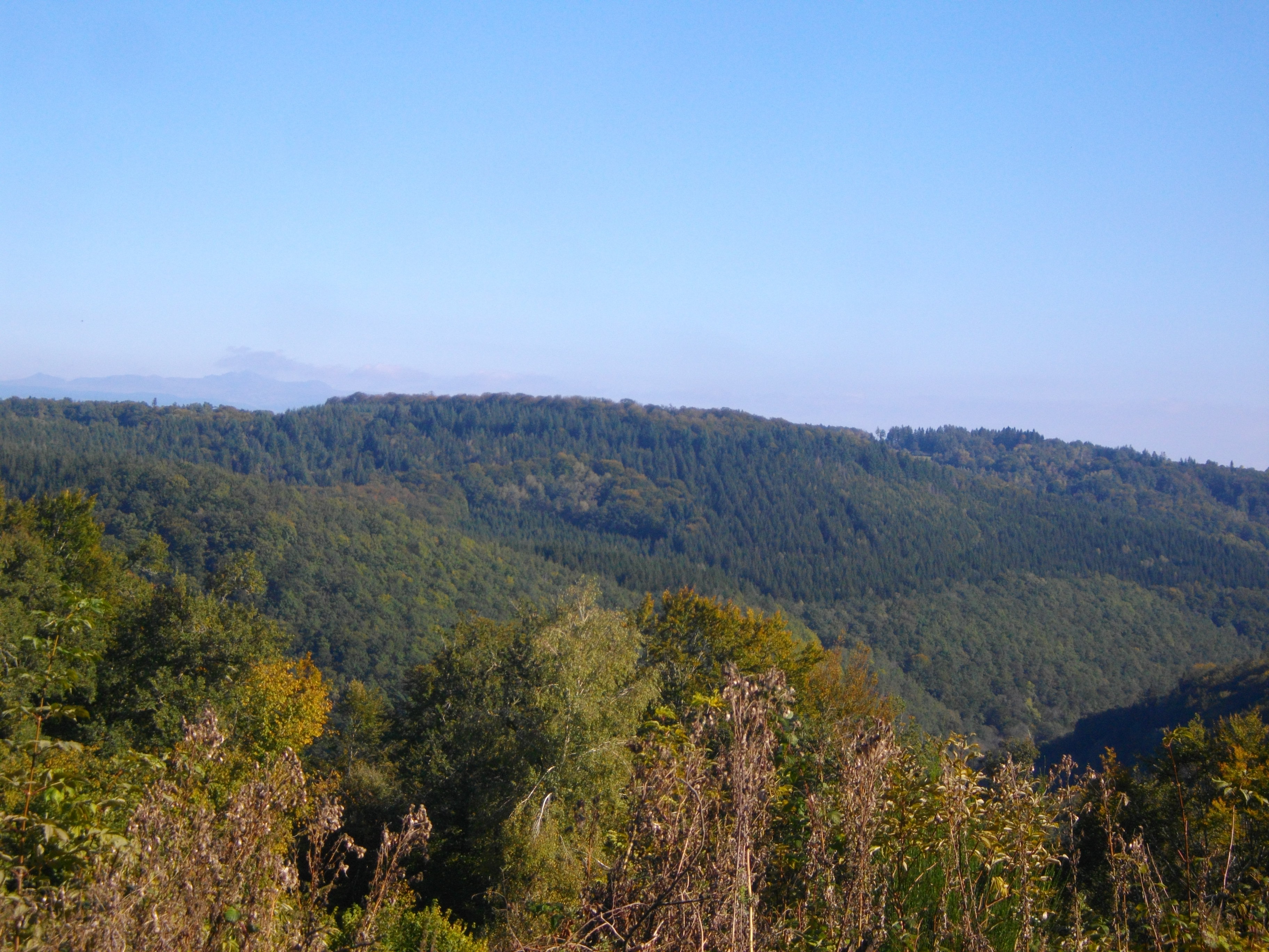 Lémovices ou Arvernes ? (variante 1 de 6 km) Saint-Étienne-aux-Clos Nouvelle-Aquitaine