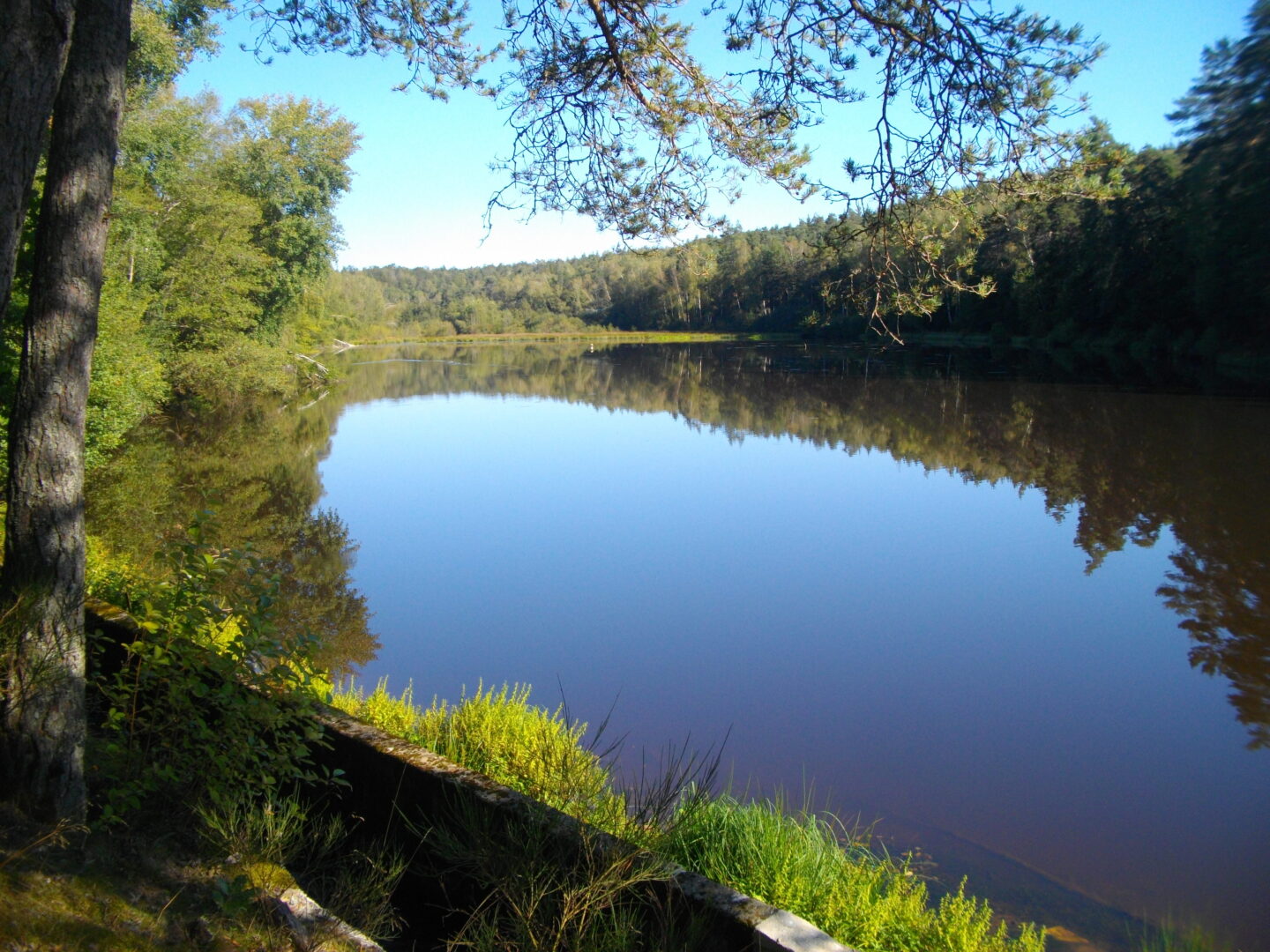 VTT Flore du Chavanon 41 km circuit 22 Saint-Exupéry-les-Roches Nouvelle-Aquitaine