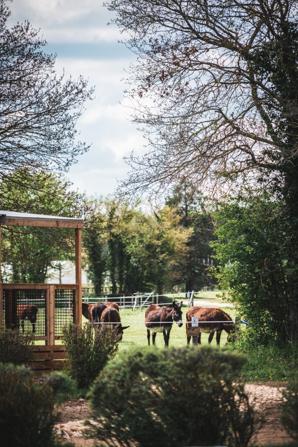 Les Amourettes La Celle-Condé Centre-Val de Loire