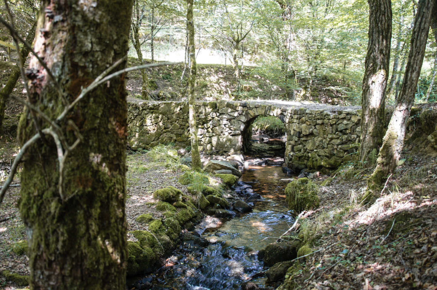 Les Agaries Marcillac-la-Croisille Nouvelle-Aquitaine