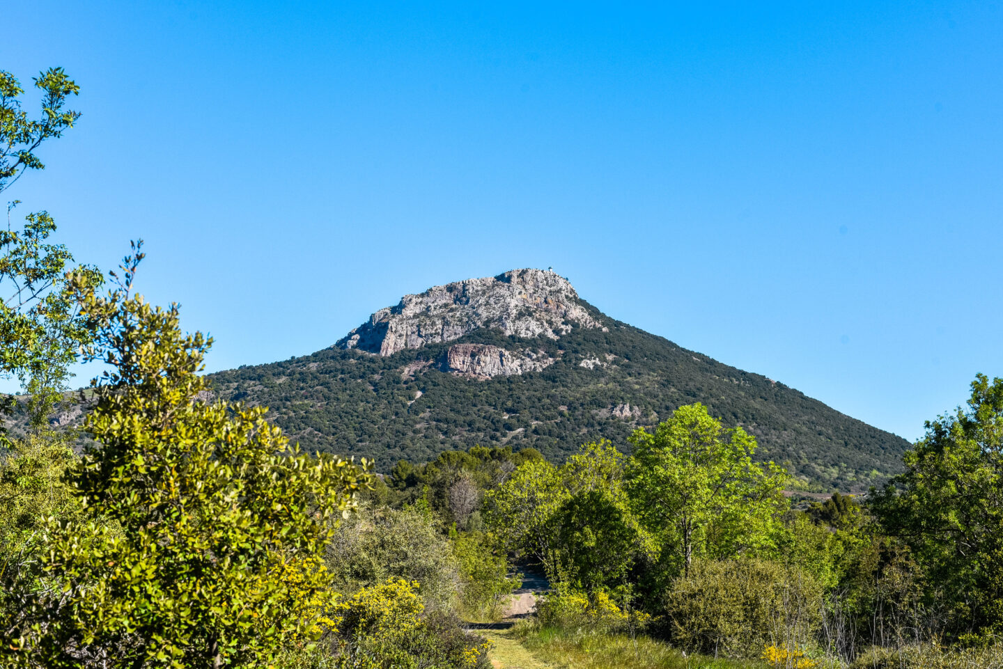 TRAIL DE L’ESTABEL Cabrières Occitanie TRAIL DE L'ESTABEL Cabrières Occitanie