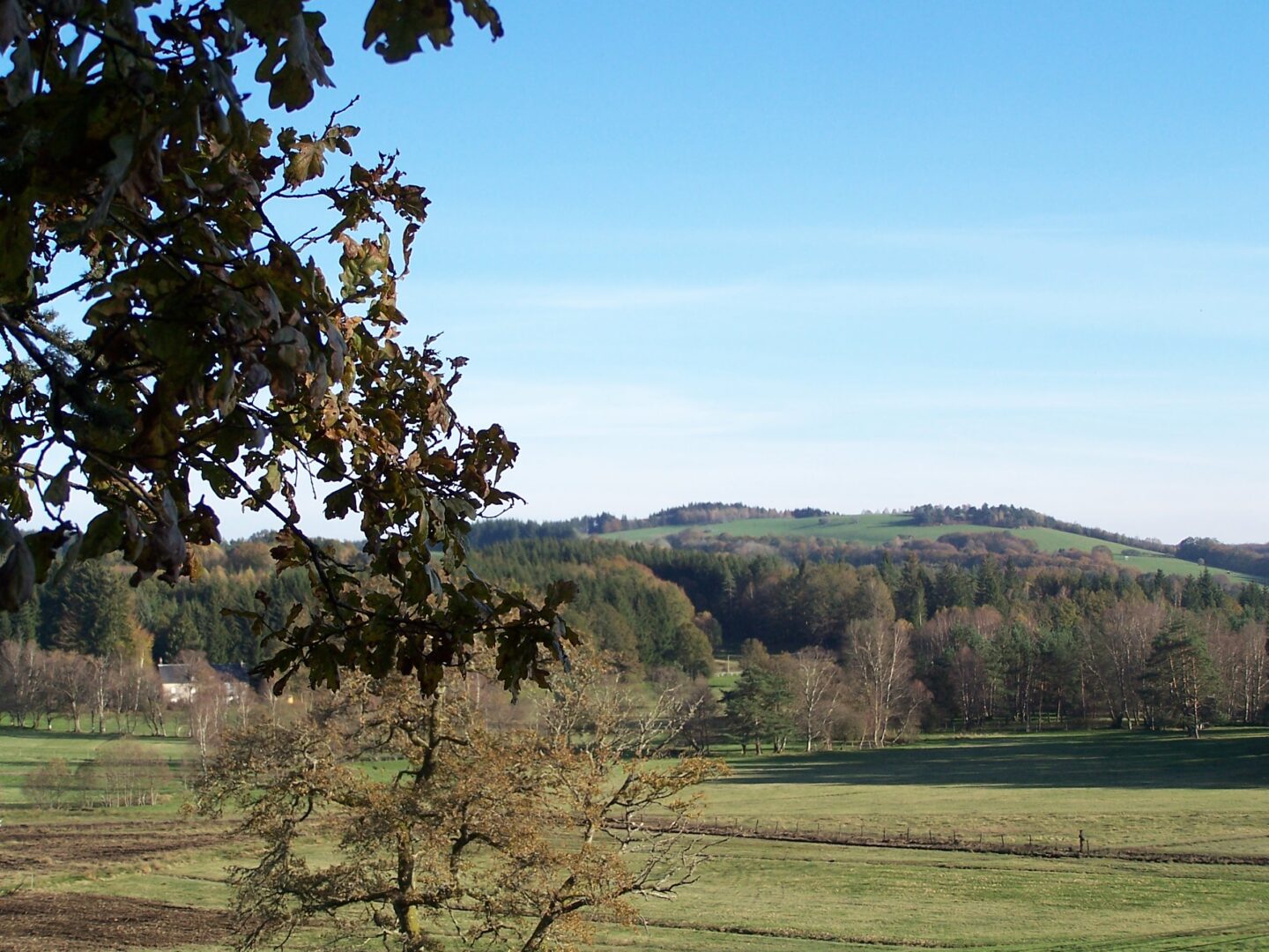 Le bois de Tempêtier Bugeat Nouvelle-Aquitaine Le bois de Tempêtier Bugeat Nouvelle-Aquitaine