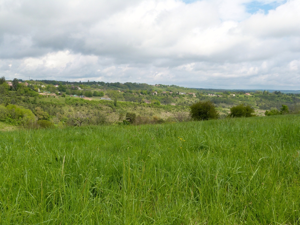 Boucle VTT Rouffignac-Le Moustier (N°5) Rouffignac-Saint-Cernin-de-Reilhac Nouvelle-Aquitaine Boucle VTT Rouffignac-Le Moustier (N°5) Rouffignac-Saint-Cernin-de-Reilhac Nouvelle-Aquitaine