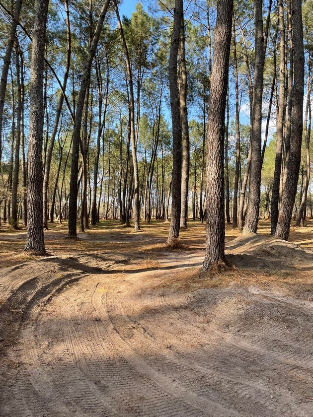Pumptrack Arue Nouvelle-Aquitaine