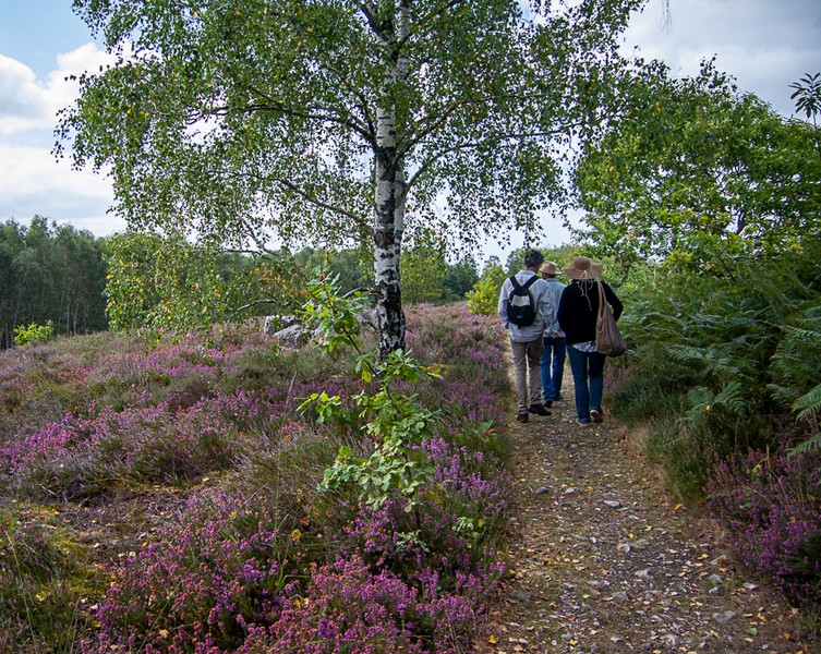 Boucle de Lo Sendero Dau Verdier Saint-Cyr-les-Champagnes Nouvelle-Aquitaine