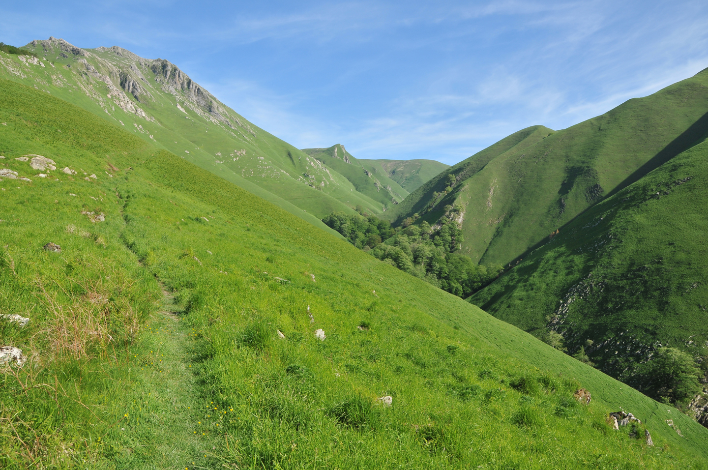 La grotte d’Harpea Estérençuby Nouvelle-Aquitaine La grotte d'Harpea Estérençuby Nouvelle-Aquitaine