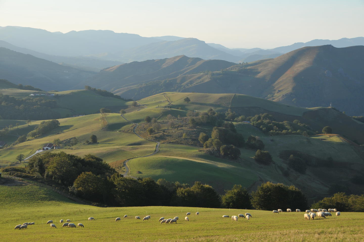 Les crêtes d’Ithurranburu Estérençuby Nouvelle-Aquitaine Les crêtes d’Ithurranburu Estérençuby Nouvelle-Aquitaine
