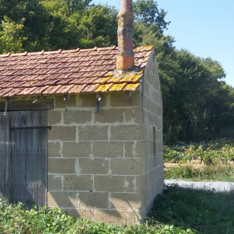 Les cabanes de vigne Asnières-en-Poitou Nouvelle-Aquitaine