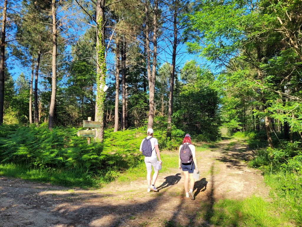 Boucle de la Lande Chantérac Nouvelle-Aquitaine Boucle de la Lande Chantérac Nouvelle-Aquitaine
