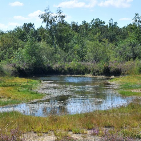 Boussais Espace Naturel Sensible Les communaux de l'Hôpiteau Boussais Nouvelle-Aquitaine