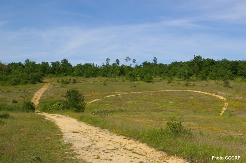 Le Causse de l'Isle Savignac-les-Églises Nouvelle-Aquitaine