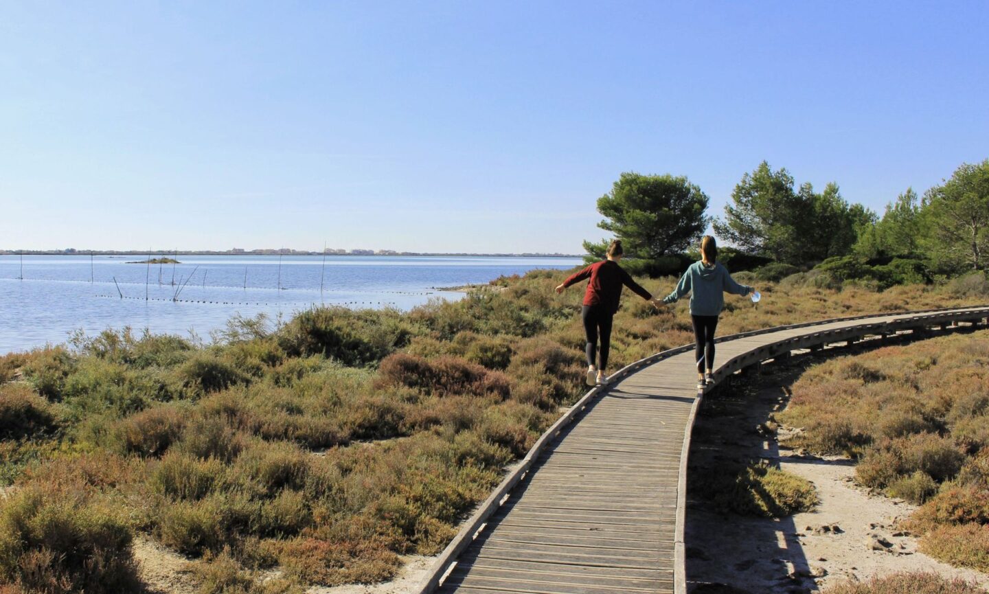 RANDONNEE DES ARESQUIERS Vic-la-Gardiole Occitanie