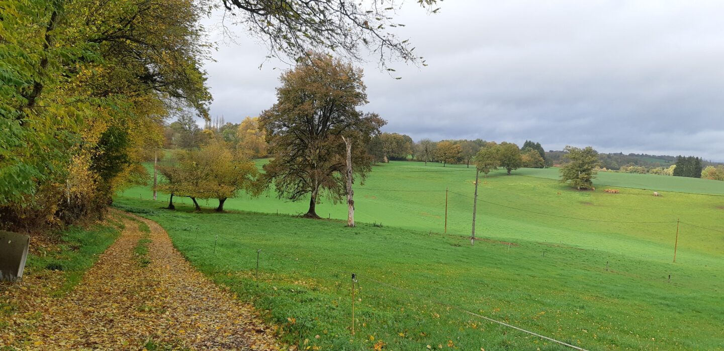 Du Ganaveix au Bradascou Condat-sur-Ganaveix Nouvelle-Aquitaine