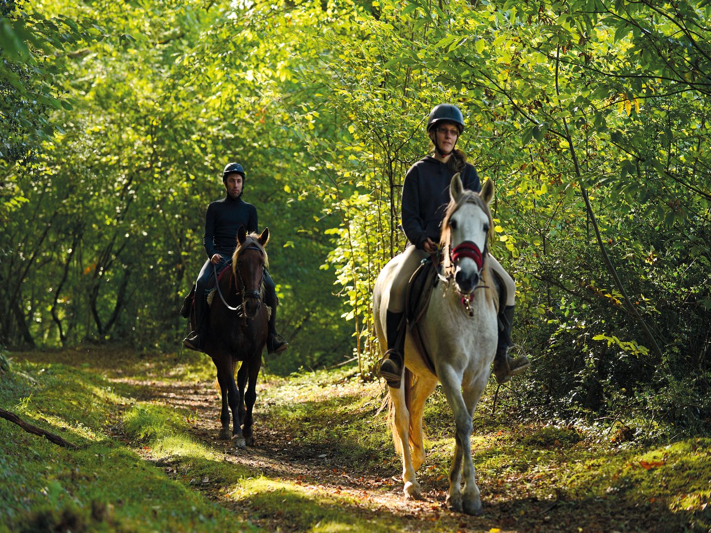 Mazerolles les Bénédictins à cheval Mazerolles Nouvelle-Aquitaine