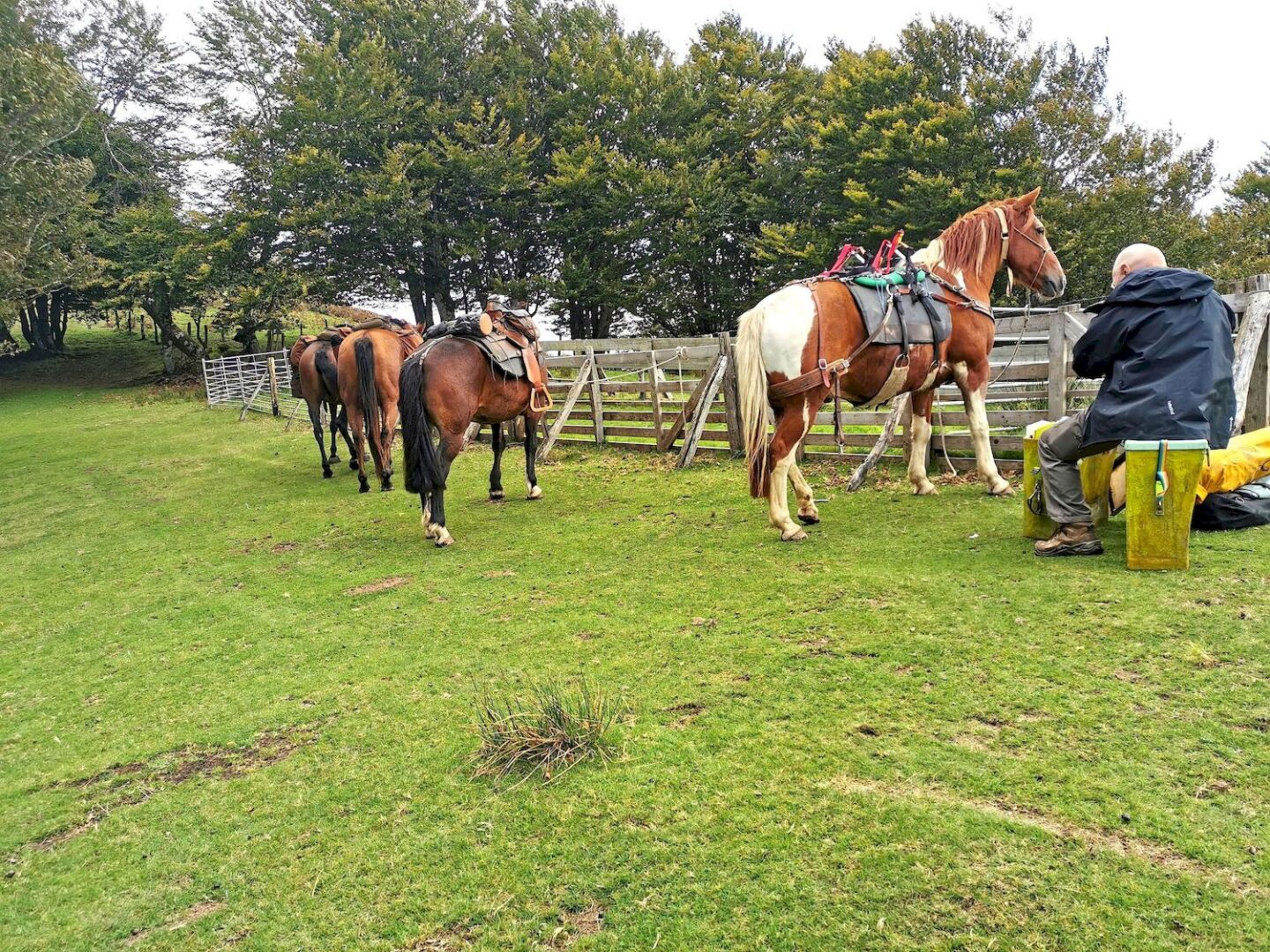 Le sentier des contrebandiers De Col d'Ehorrieta à St Martin d'Arossa équestre Banca Nouvelle-Aquitaine