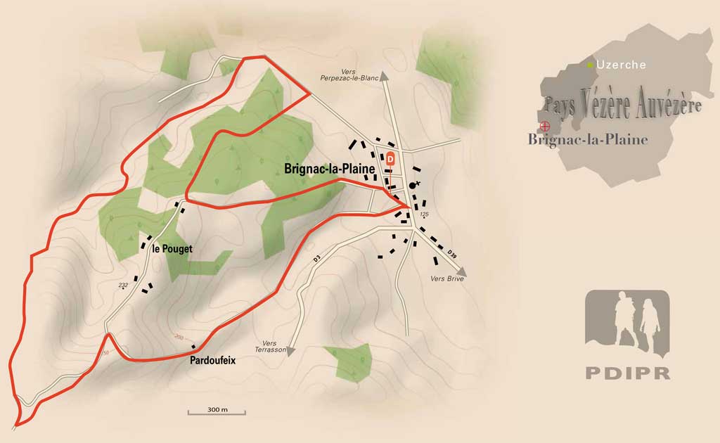 La forêt de Brignac Brignac-la-Plaine Nouvelle-Aquitaine