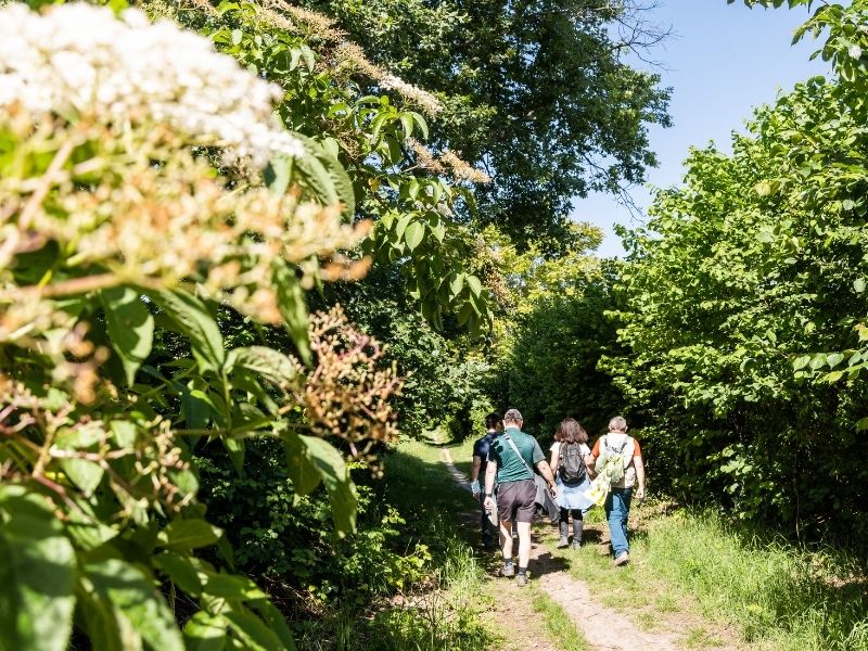 Boucle Latresne/ Cénac/ Camblanes et Meynac Latresne Nouvelle-Aquitaine