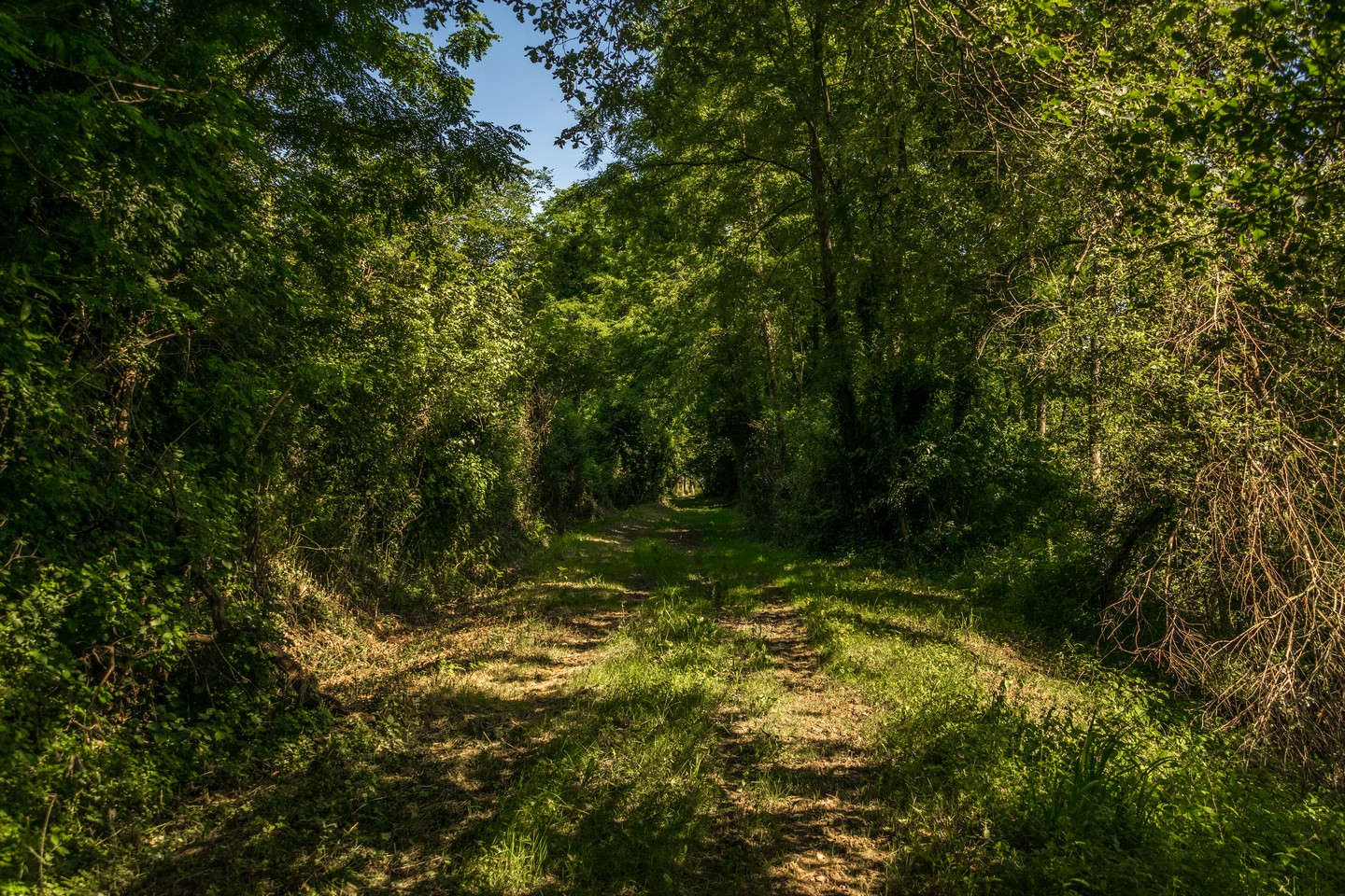 Aussevielle Boucle de la ligne vieille Aussevielle Nouvelle-Aquitaine