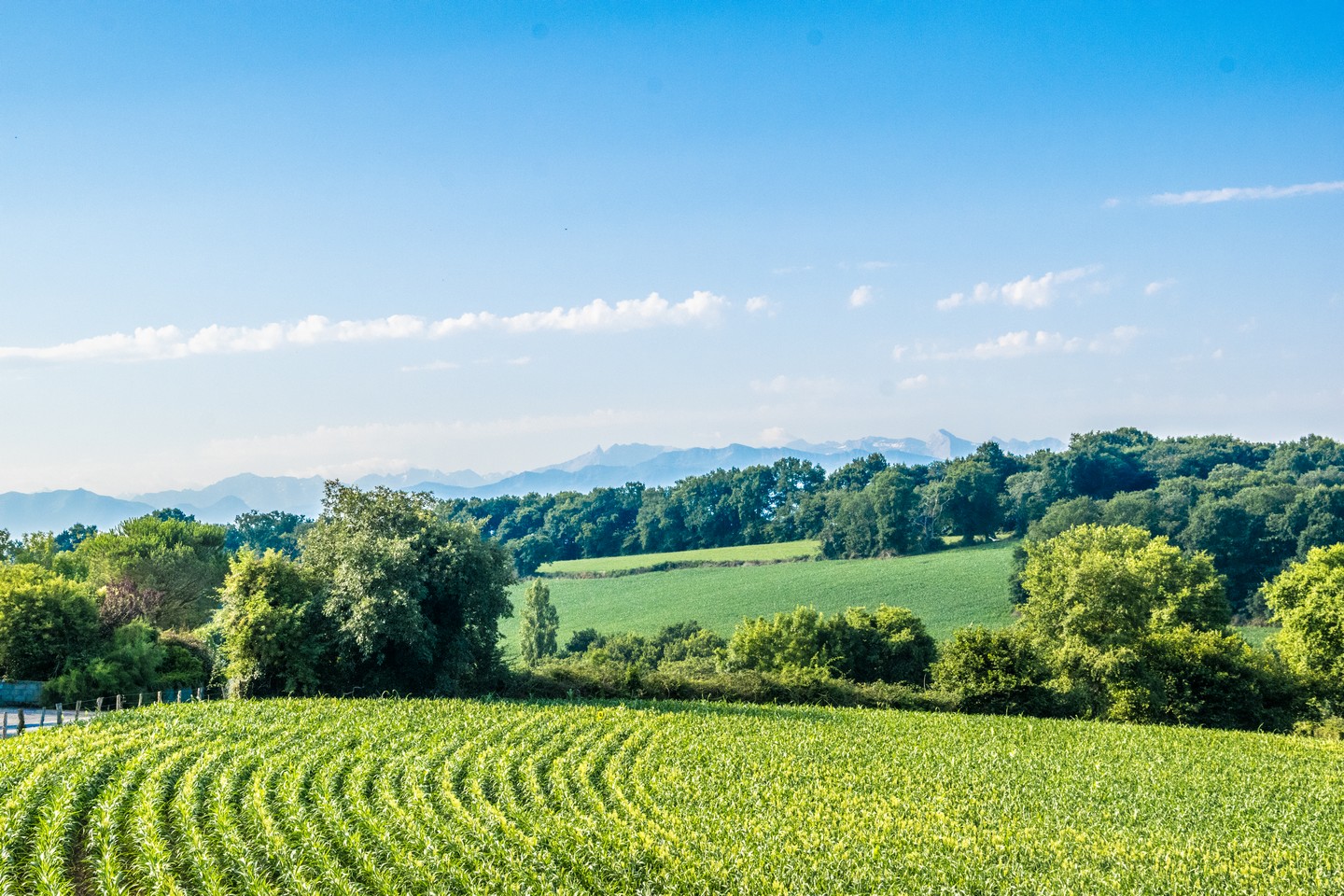 Beyrie-en-Béarn Promenade autour de Beyrie Beyrie-en-Béarn Nouvelle-Aquitaine