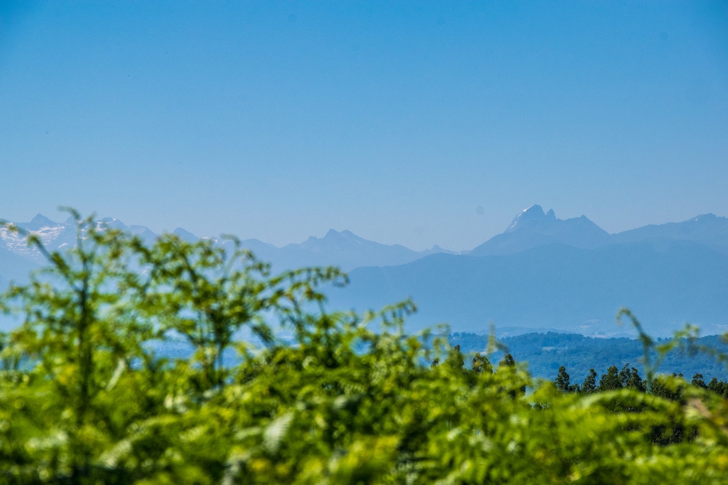 Denguin Boucle du Trou du Loup Denguin Nouvelle-Aquitaine