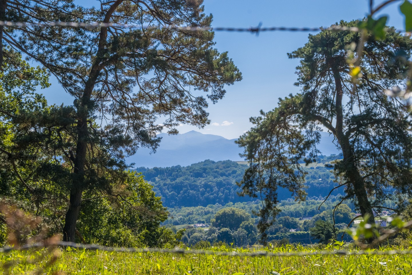 Lée En passant par le Chemin Henri IV Lée Nouvelle-Aquitaine