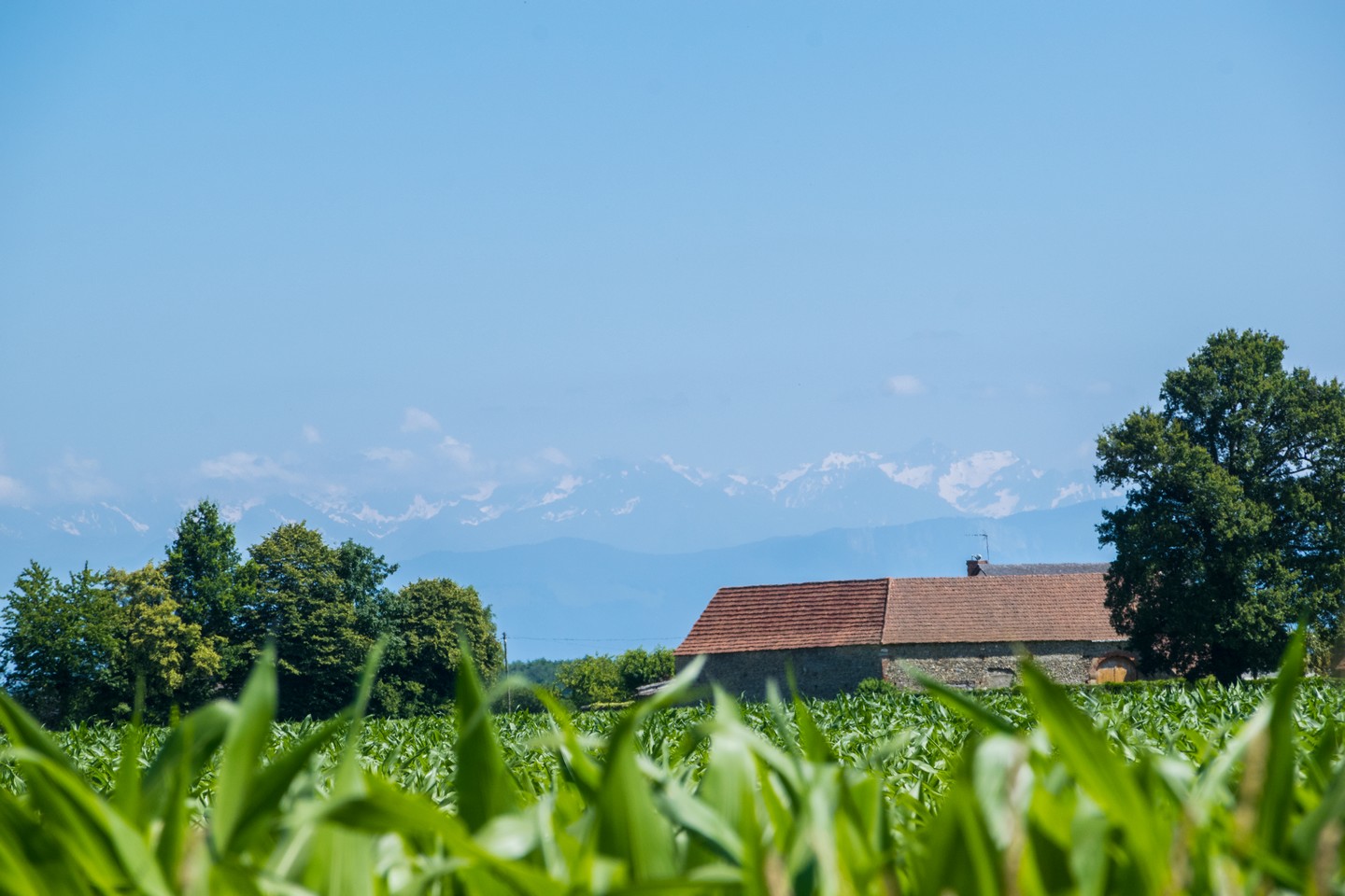 Uzein Boucle de la Hialère Uzein Nouvelle-Aquitaine