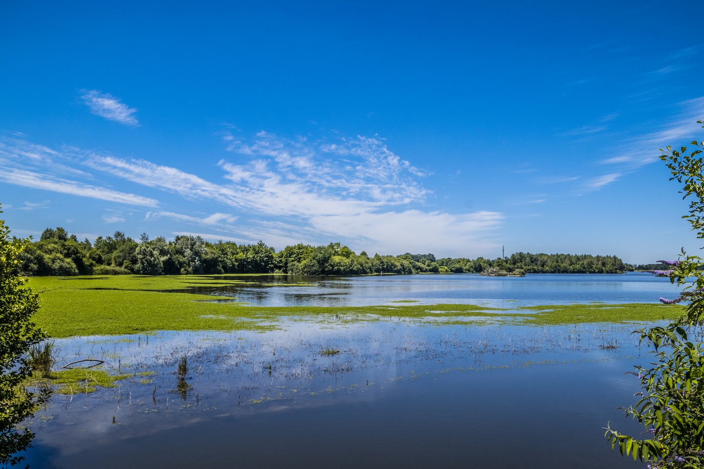 Uzein Du Bruscos à l'Ayguelongue Uzein Nouvelle-Aquitaine