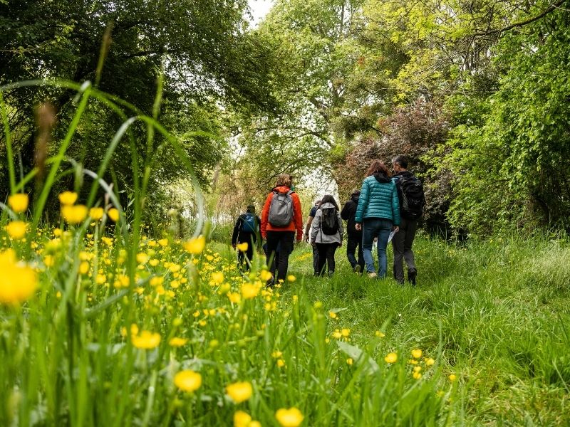 Boucle Saint Caprais-de-Bordeaux/ Quinsac/ Cambes Saint-Caprais-de-Bordeaux Nouvelle-Aquitaine