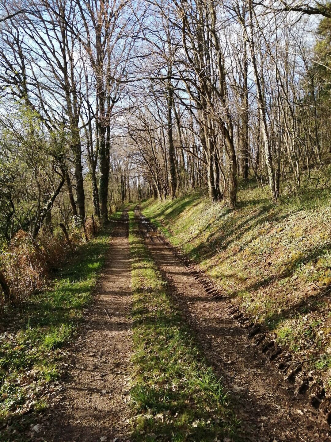 Au coeur du bocage Saint-Maur Centre-Val de Loire