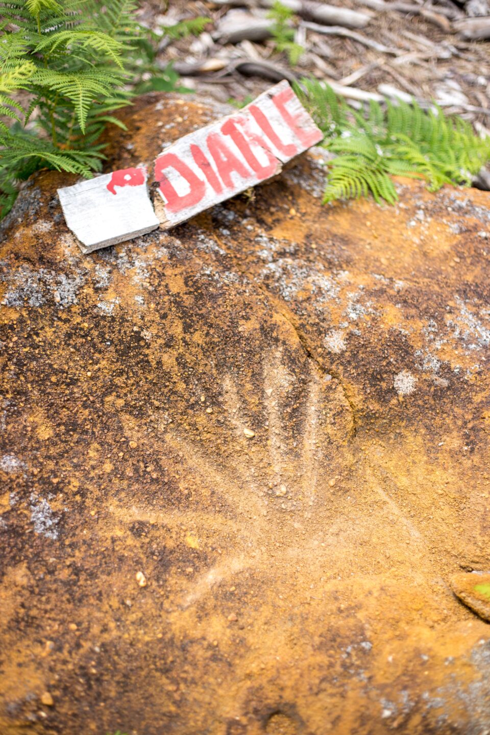 Lugos sur les traces du Vieux Lugo Lugos Nouvelle-Aquitaine