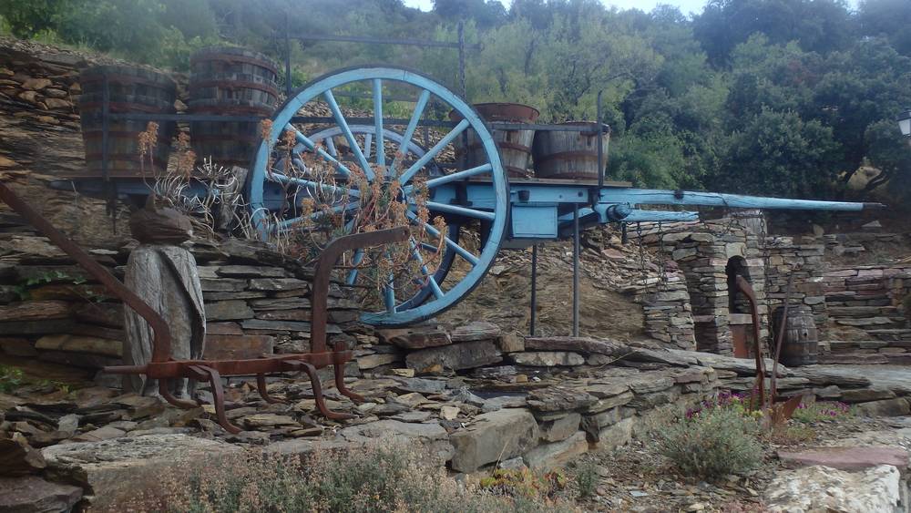 RANDONNÉE FÉLINES MINERVOIS VENTAJOU Félines-Minervois Occitanie